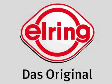 elring-2867801.webp